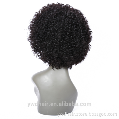 8-26inch Full Lace Human Hair Wigs Curly human hair wigs for black women Lace Front Wigs